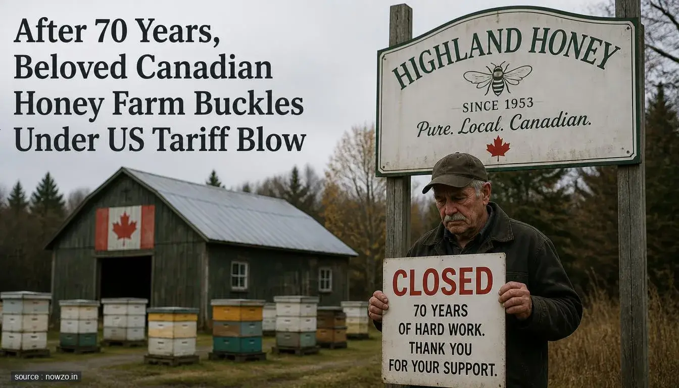Canadian Honey Farm Bankruptcy After US Tariff — Business news