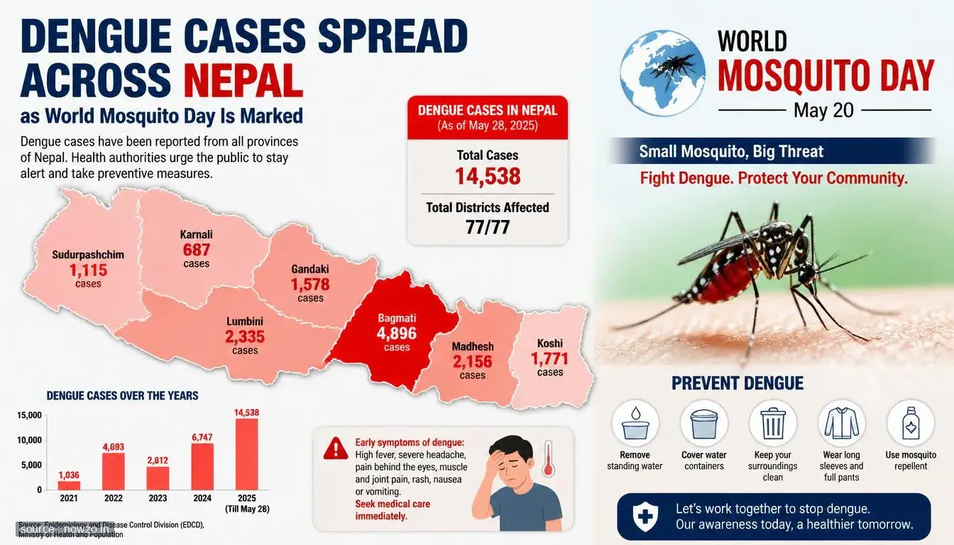 Dengue Cases Spread Across Nepal on World Mosquito Day — Health news