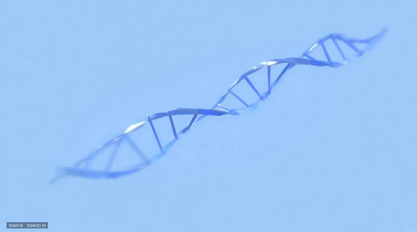 DNA Origami Extends Molecular Motion Observation — Science news