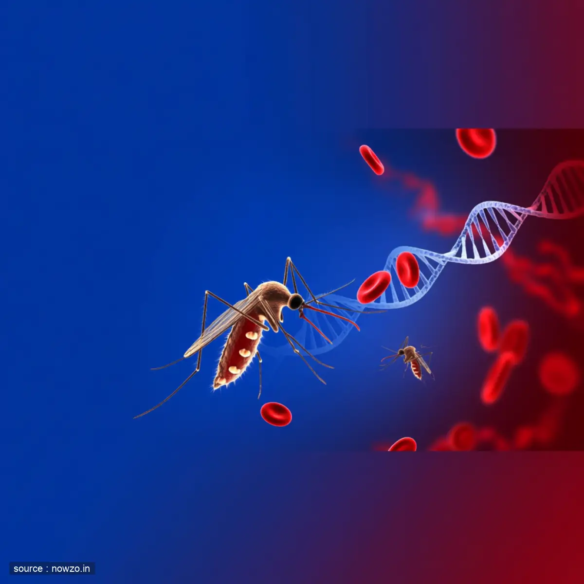 Malaria Parasites Develop Resistance Through Genetic Variant — Health news