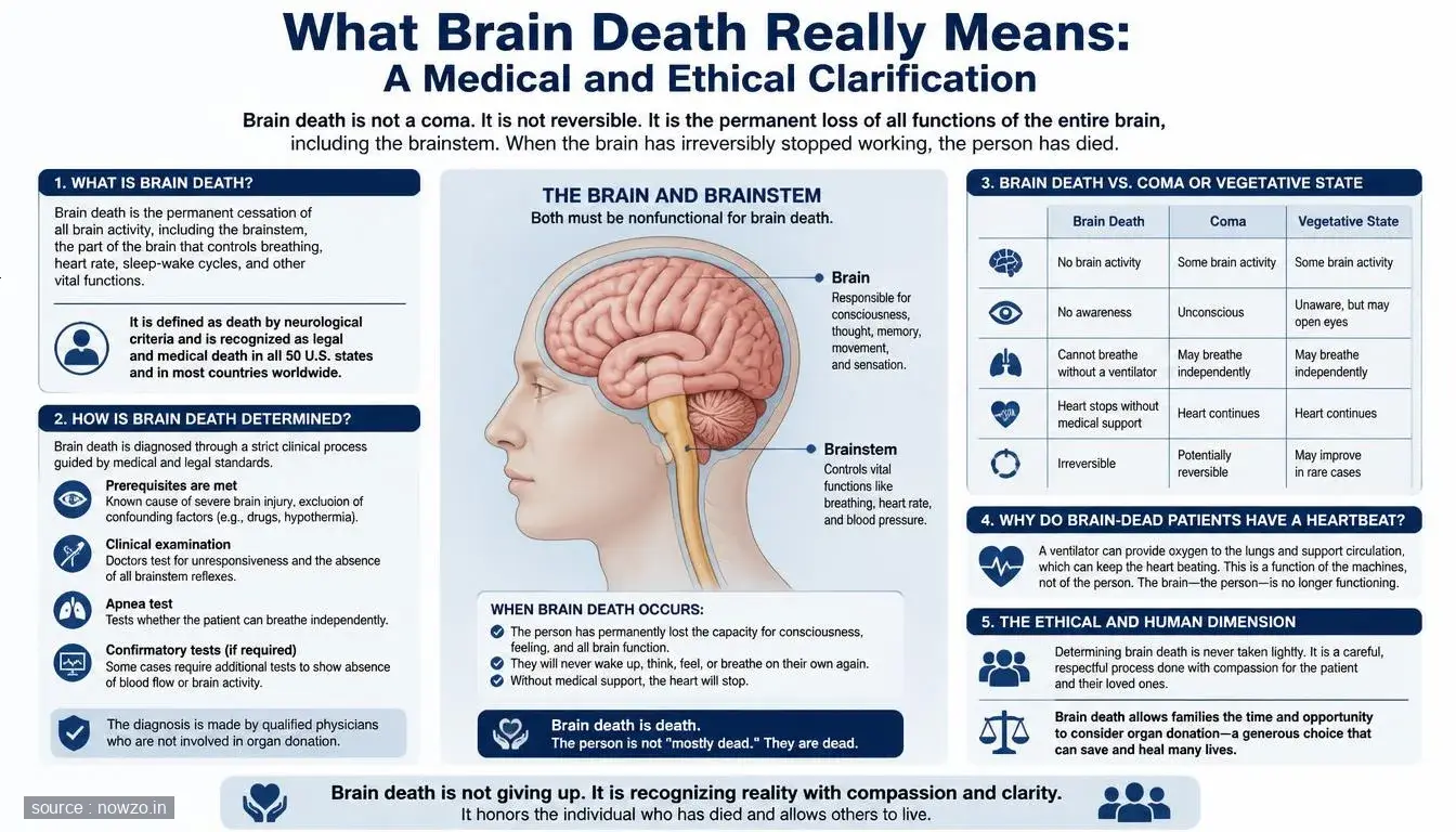 Understanding Brain Death: Medical Criteria and Ethical Impl — Health news