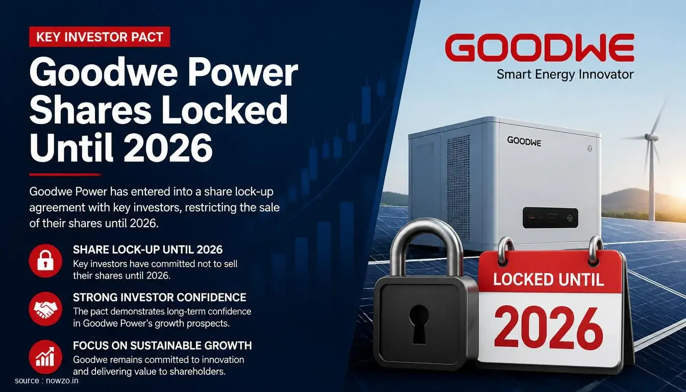 Goodwe Power Shares Locked Until 2026 in Key Investor Pact